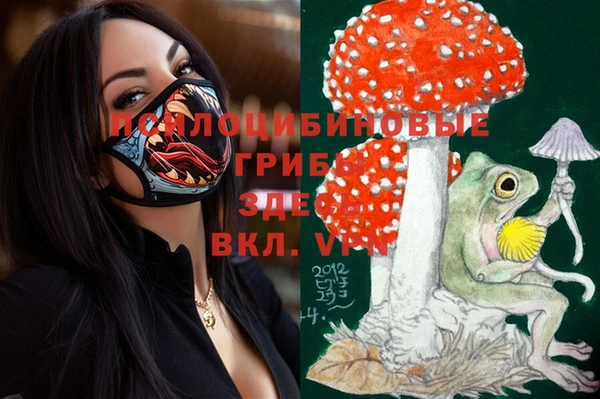 дживик Алагир