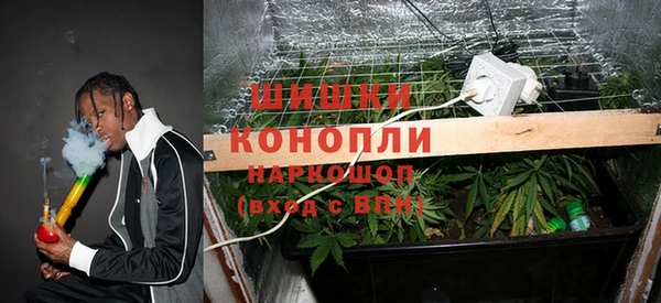 дживик Алагир