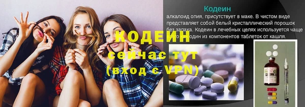 дживик Алагир