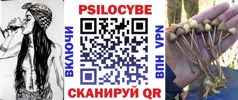 Псилоцибиновые грибы Psilocybe  Каменка 