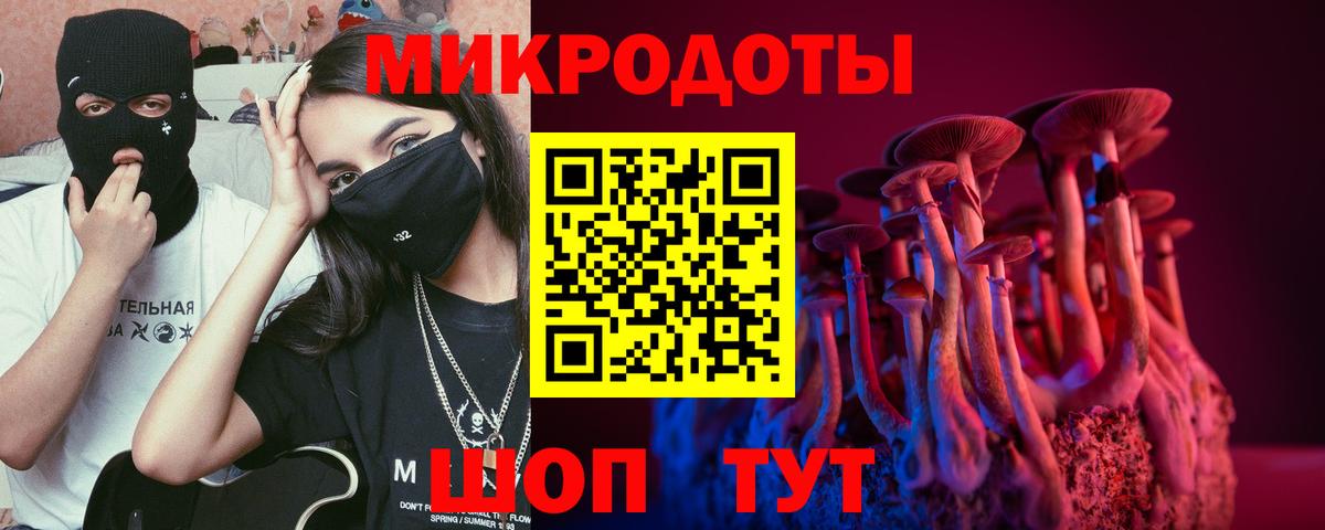 Галлюциногенные грибы Psilocybe Каменка
