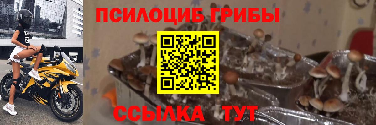 ТГК Каменка